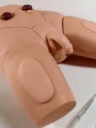 Simulador Cateterismo Bissexual - Ostomias