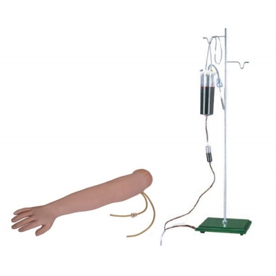 Modelo de braço para punção intramuscular e venosa