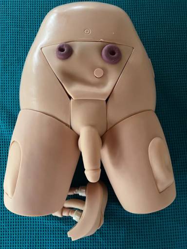Simulador Cateterismo Bissexual - Ostomias