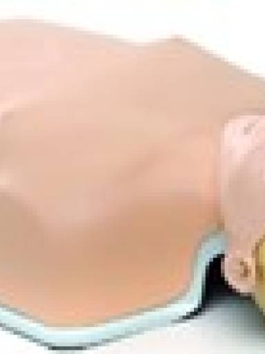 Simulador RCP / Bluetooth � Nova Little Anne