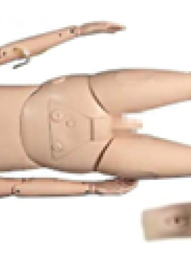 Manequim Completo Articulado � Endoscopia