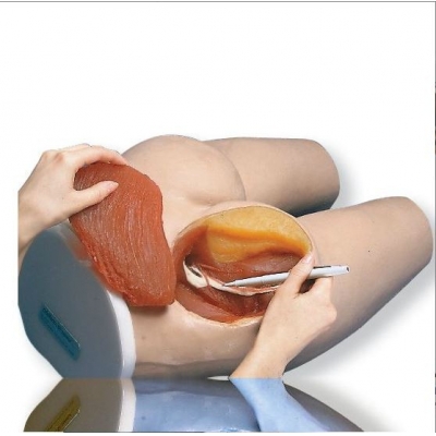 Simulador para Inje��es Intramusculares