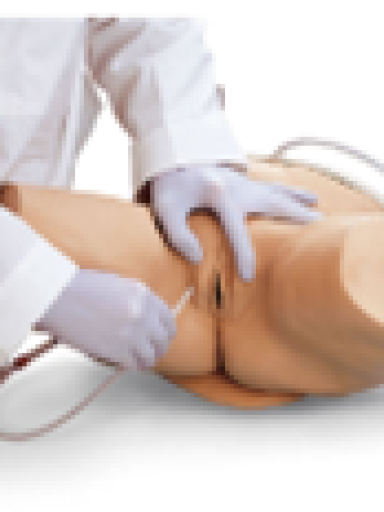 Simulador Cateterismo Feminino