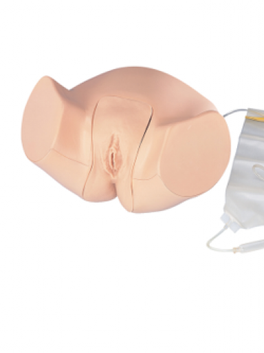 Simulador para Cateterismo Uretral Feminino