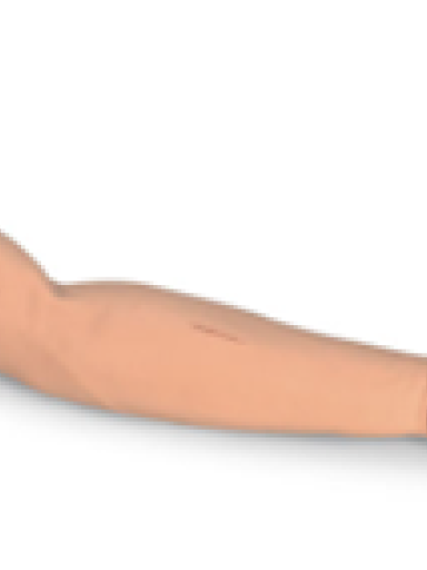 Brao  Adulto - Treinamento Sutura