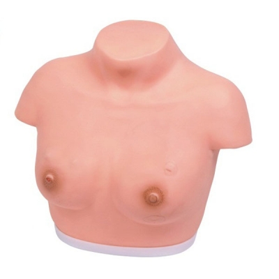 Modelo de inspeção de mamas