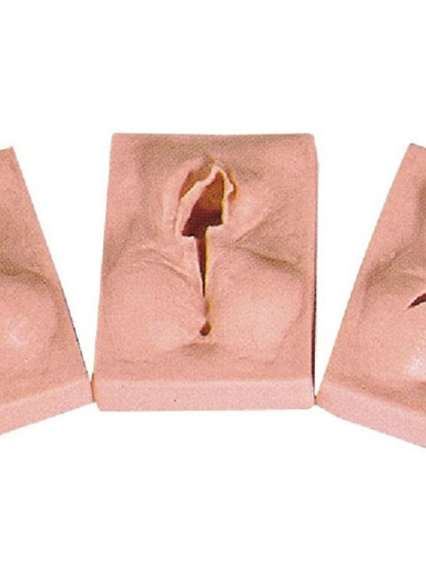 Episiotomia  - Treino